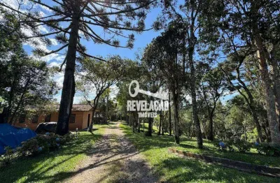 Chácara com 3 dormitórios à venda, 205160 m² por r$ 8.000.000,00 - guarituba - piraquara/pr