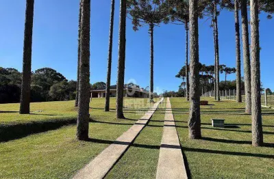 Chácara / sítio com 2 quartos à venda no Ribeirão Grande, Agudos do Sul 