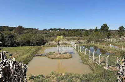 Chácara / sítio com 3 quartos à venda em Cotia, São José dos Pinhais 