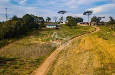 Área à venda, 84000 m² frente para br 376- miringuava - são josé dos pinhais/pr