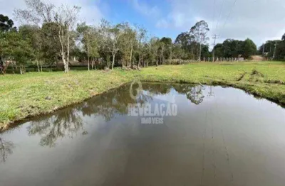 Chácara com bosque e tanque de peixes 10000 m² por r$ 510.000 - tabatinga - tijucas do sul/pr