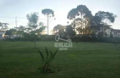 Chácara com com 3.000 m² à venda, por r$ 600.000 - campo largo da roseira - são josé dos pinhais/pr