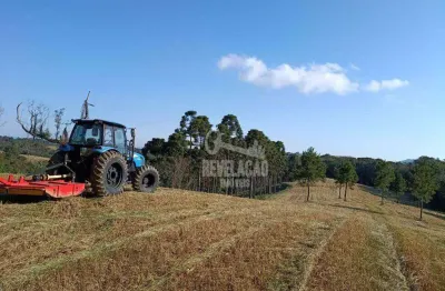 Chácara com 1 dormitório à venda, 20000 m² por r$ 350.000 - zona rural - tijucas do sul/pr