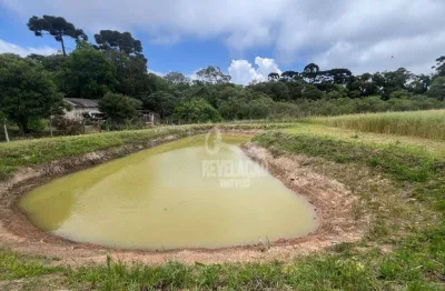 Chácara / sítio com 1 quarto à venda na Zona Rural, São José dos Pinhais 