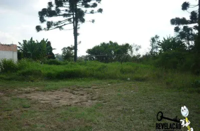 Terreno à venda, 870 m² por r$ 300.000,00 - são sebastião - são josé dos pinhais/pr