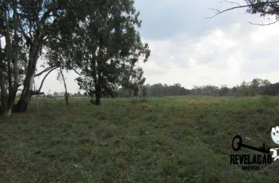 Área à venda, 85000 m² por r$ 33.150.000,00 - planta quississana - são josé dos pinhais/pr