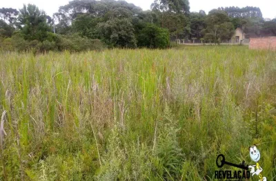 Área à venda, 5100 m² por r$ 4.080.000,00 - costeira - são josé dos pinhais/pr