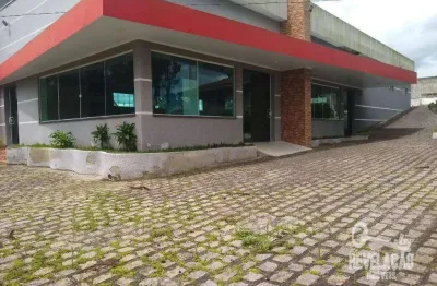 Chácara com  tanques e salão de eventos à venda, 36300 m² por r$ 3.400.000 - roça velha - são josé dos pinhais/pr