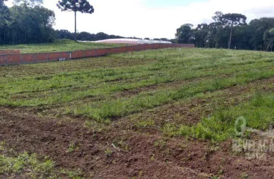 Área à venda, 5860 m² por r$ 1.350.000,00 - roseira - são josé dos pinhais/pr