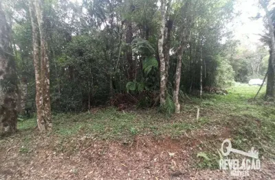 Área à venda, 7058 m² por r$ 900.000,00 - arujá - são josé dos pinhais/pr