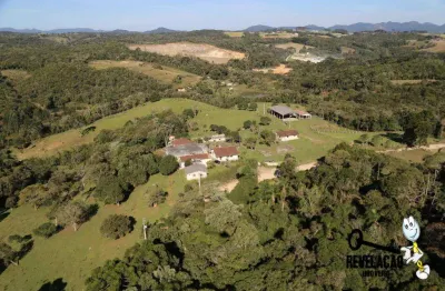 Chácara   à venda, 166375 m² por r$ 3.500.000 - colônia murici - são josé dos pinhais/pr