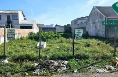 Terreno comercial para alugar na Rua Ernesto Jonas Gonçalves, S_N, Guatupê, São José dos Pinhais