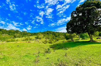 Terreno à venda na Rua Getúlio Vargas, Jardim Janaina, Biguaçu