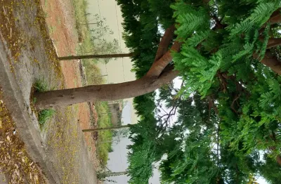 Terreno à venda no santa clara, conselheiro lafaiete , 26618 m2 por r$ 170.000