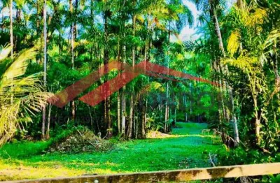 Chácara Rural 130.000m² com Nascente em Portão Preto, Itariri