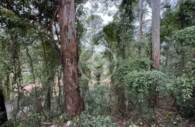 Terreno à venda, 2500 m2, declive, alphaville. codigo: 147473