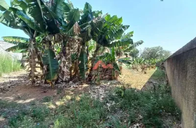 Terreno, 433 m² - venda por r$ 450.000,00 ou aluguel por r$ 1.159,00/mês - vila mariana - americana/sp