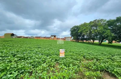 Terreno à venda na policarpo ferreira de miranda, 177, loteamento itaboa, campo largo por r$ 290.000