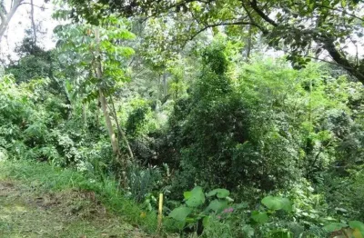 Terreno à venda no Tucuruvi, São Paulo 
