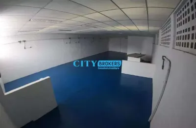 Barracão / Galpão / Depósito à venda na Rua Professor Pedro de Alcântara Machado, Vila Império, São Paulo