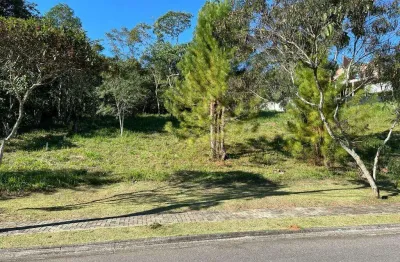 Terreno à venda na Rua R Angelin, Centro, Santa Isabel
