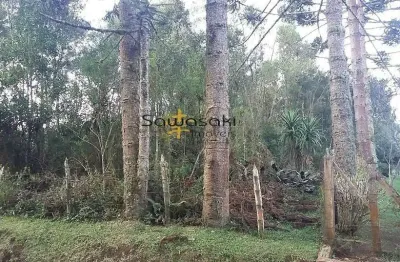 Terreno à venda na Estrada João Baptista Setim, Lote 1, Rio de Una, São José dos Pinhais