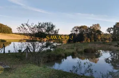 Chácara / sítio com 4 quartos à venda na Rua Albino Mickosz, Faxina, São José dos Pinhais