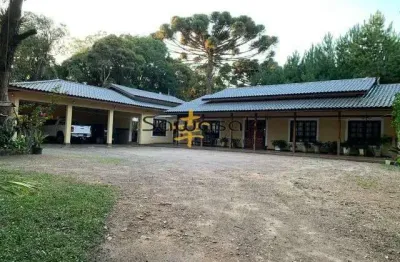 Chácara / sítio com 3 quartos à venda na Rodovia BR-376, s/n, Contenda, São José dos Pinhais