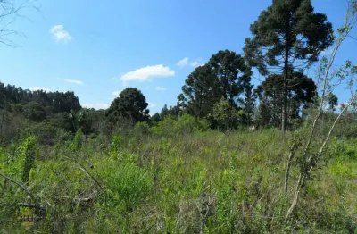 Terreno à venda na Br 116 - Bairro Santo Amaro, Areia Branca dos Assis, Mandirituba
