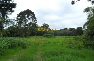 Terreno para venda em roseira são josé dos pinhais-pr