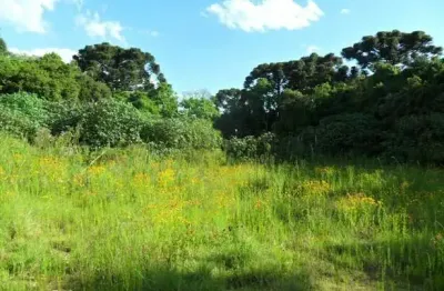 Terreno à venda na Rua Coronel João Antônio Xavier, 386, Centro, Araucária