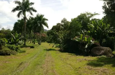 Chácara / sítio com 1 quarto à venda na Rua Rio Das Pedras, s/n, Centro, Antonina