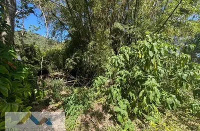Terreno à venda na Avenida Luiz Boiteux Piazza, Canasvieiras, Florianópolis