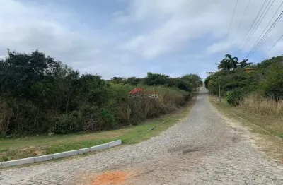 Lote com mil metros a 400m da praia do forno e 700m da praia brava.