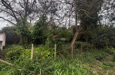 Terreno à venda na Alameda Gardênias, Marina, Armação dos Búzios