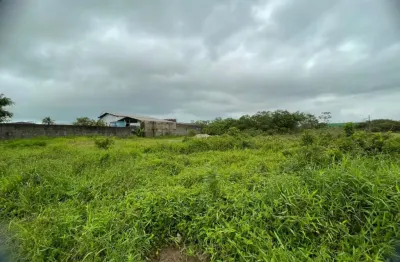 Terreno com liberação ambiental e escritura em itanhaém.