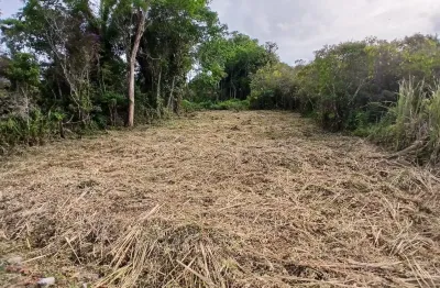 Terreno com liberação ambiental em itanhaém - r$ 85.000,00.