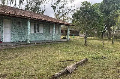 Chácara com árvores frutíferas e espaço para piscina em itanhaém.