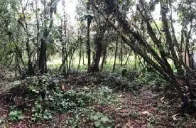 Terreno de chácara com escritura em itanhaém - r$ 115.000,00.