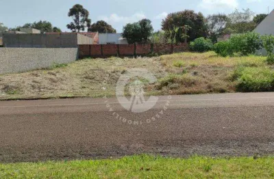 Terreno para locação,360.00 m , jardim canadá ii, foz do iguacu - pr