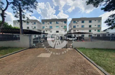 Apartamento com 2 dormitórios à venda, jardim iguaçu, foz do iguacu - pr