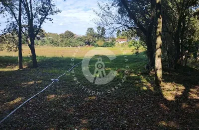 Vende-se chácara na área rural, arroio dourado, foz do iguacu - pr