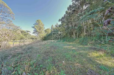 Terreno à venda na rua josé izidoro biazetto, 530, ecoville, curitiba, 906 m2 por r$ 1.800.000