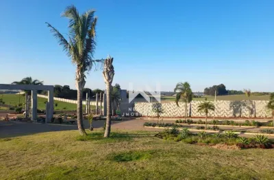 Terreno à venda, 1539 m² por r$ 1.000.000,00 - gleba fazenda palhano - cambé/pr