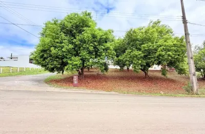 Terreno à venda na Rod. Pres. Castello Branco, 157, Ninho Verde, Porangaba