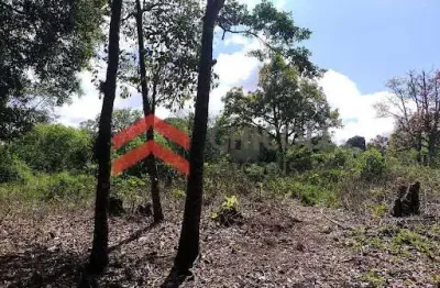 Chácara / sítio com 2 quartos à venda na de servídão, 1, centro, ibiúna por r$ 200.000