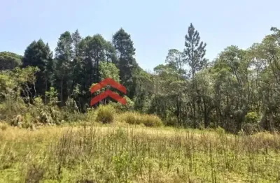 Terreno à venda na Do Verava, 1, Centro, Ibiúna