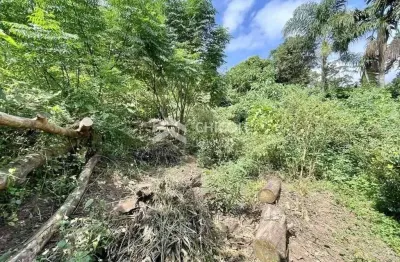 Terreno comercial para alugar na Vila Santo Antônio, Cotia 