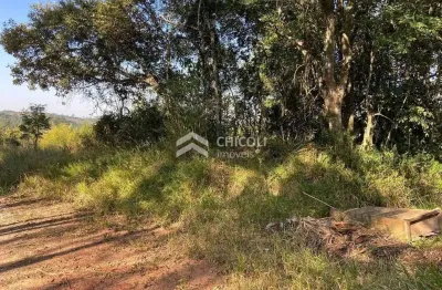 Terreno à venda no Caete (Mailasqui), São Roque 