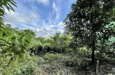 Terreno à venda na Vila Santo Antônio, Cotia 